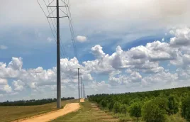 image of a street and powerlines